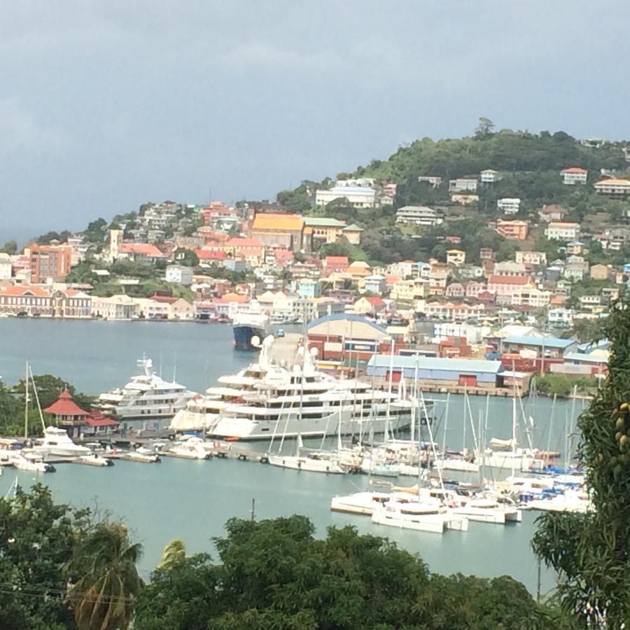 Rnm The Clubhouse, Grenada Hotell Mount Nesbit Exteriör bild